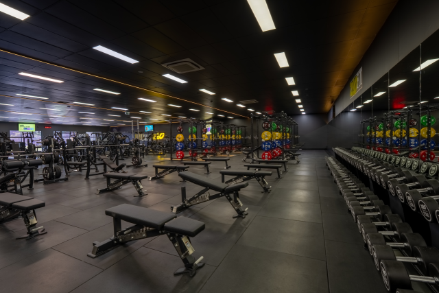 Wanneroo — internal view